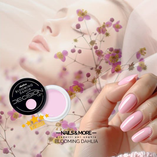 BLOOMING DAHLIA - TOP SELLER