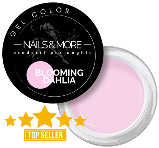 BLOOMING DAHLIA - TOP SELLER